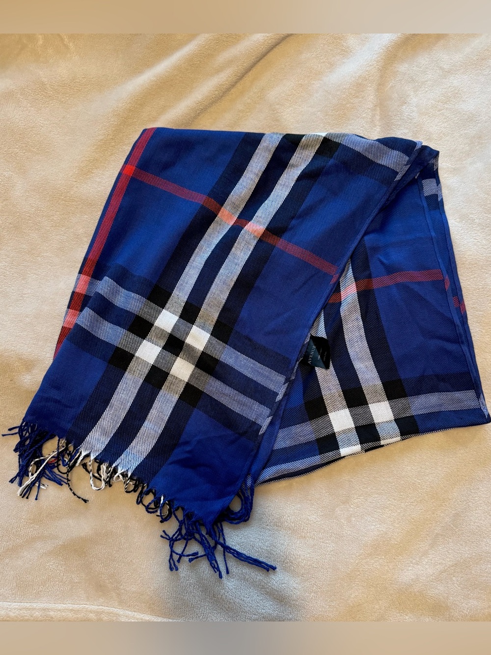 Blue Plaid Fringe Scarf